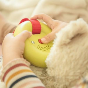 Boîte à musique pédagogique Suisse