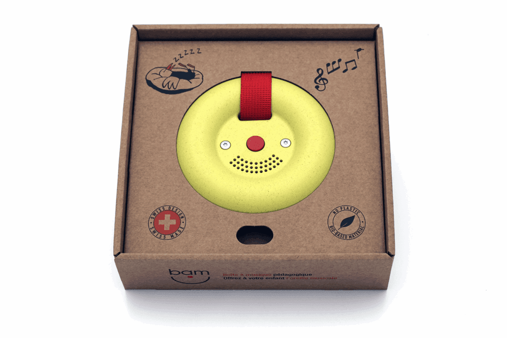 Boîte à musique pédagogique Suisse – Image 7