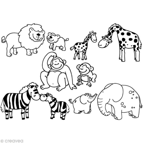 Kit 10 tampons Stampo Minos Savane – Image 3